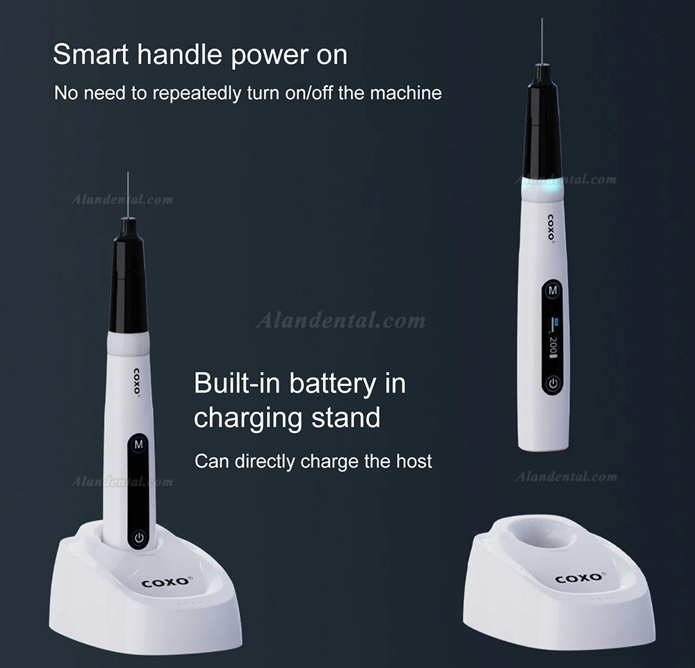 COXO C-FILL X Endodontic Obturation System 3D Wireless Tooth Filling System